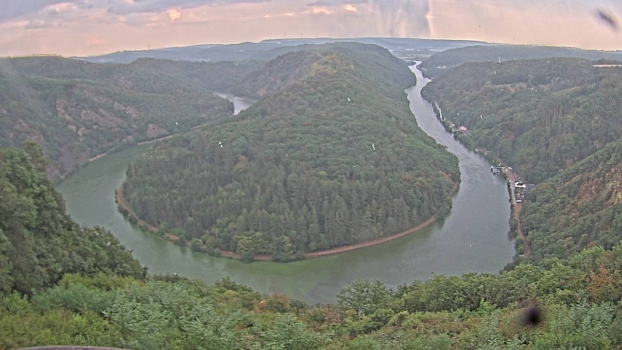 Archived image Webcam Canopy Pathway Saar Loop