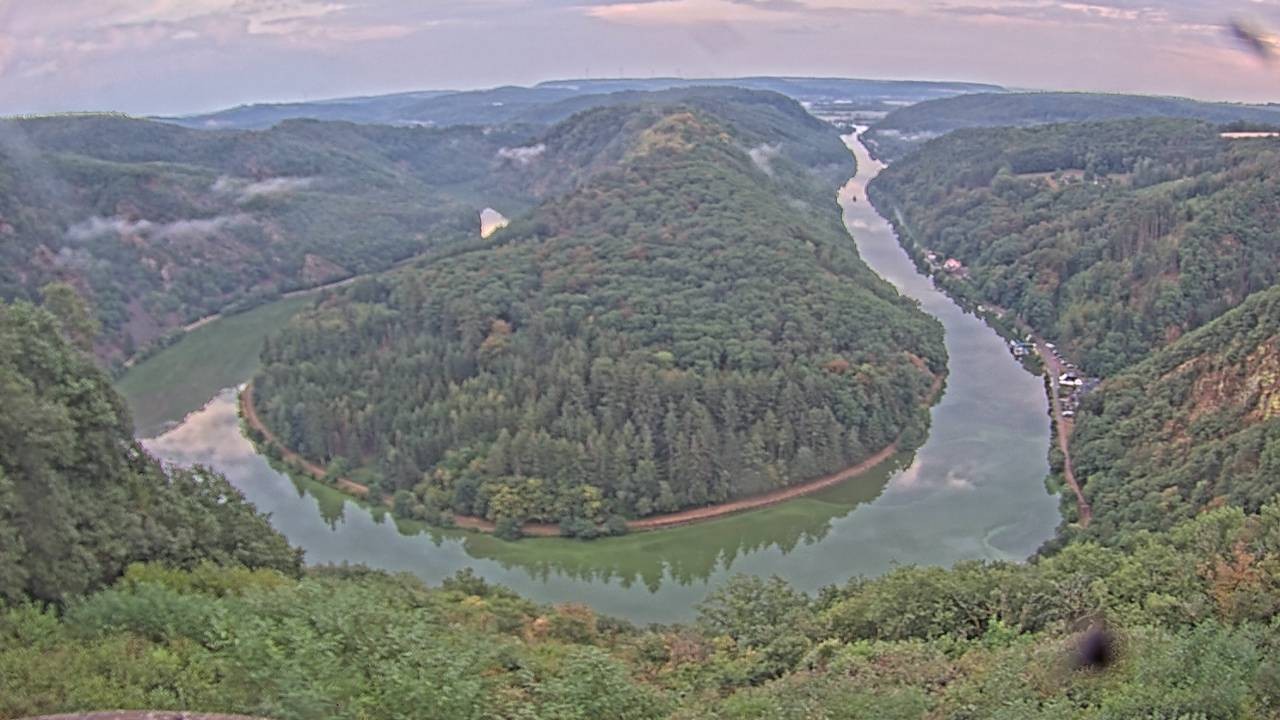 Archived image Webcam Canopy Pathway Saar Loop