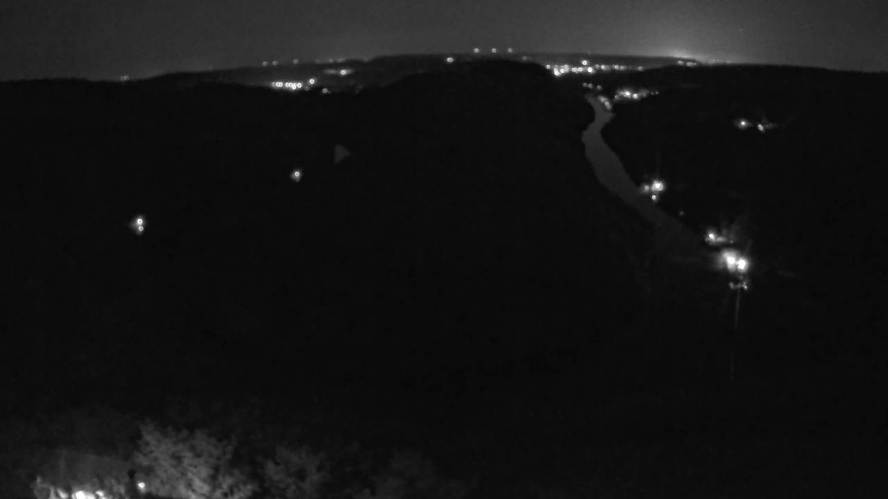 Archived image Webcam Canopy Pathway Saar Loop