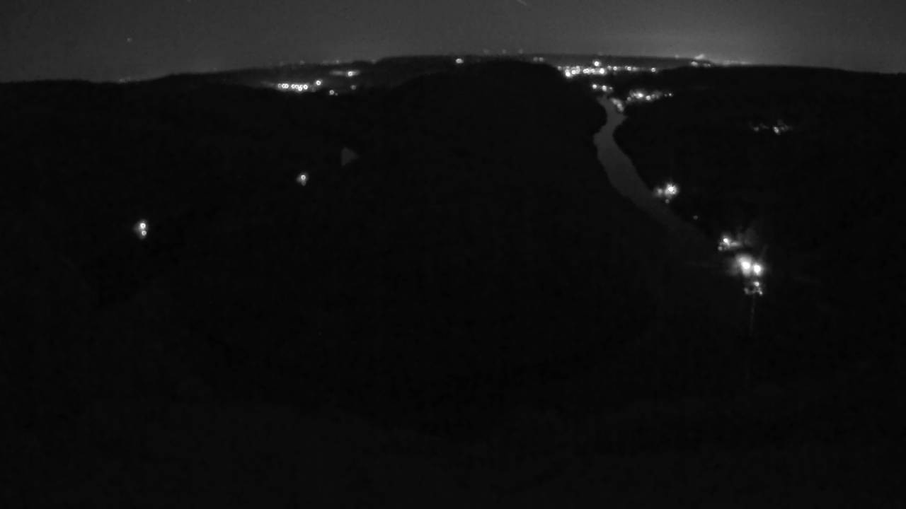 Archived image Webcam Canopy Pathway Saar Loop