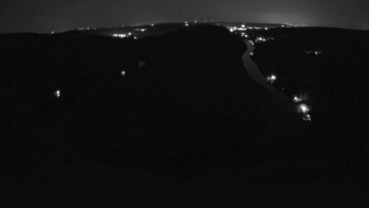 Archived image Webcam Canopy Pathway Saar Loop