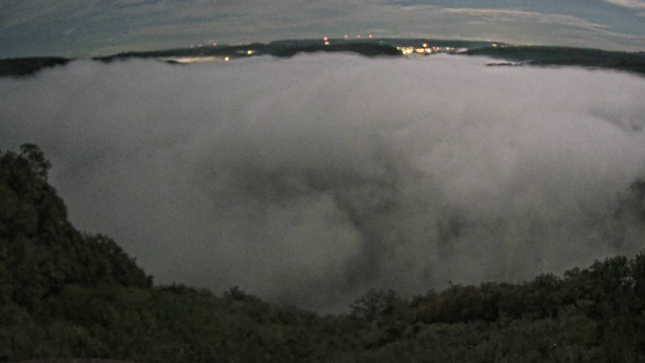 Archived image Webcam Canopy Pathway Saar Loop