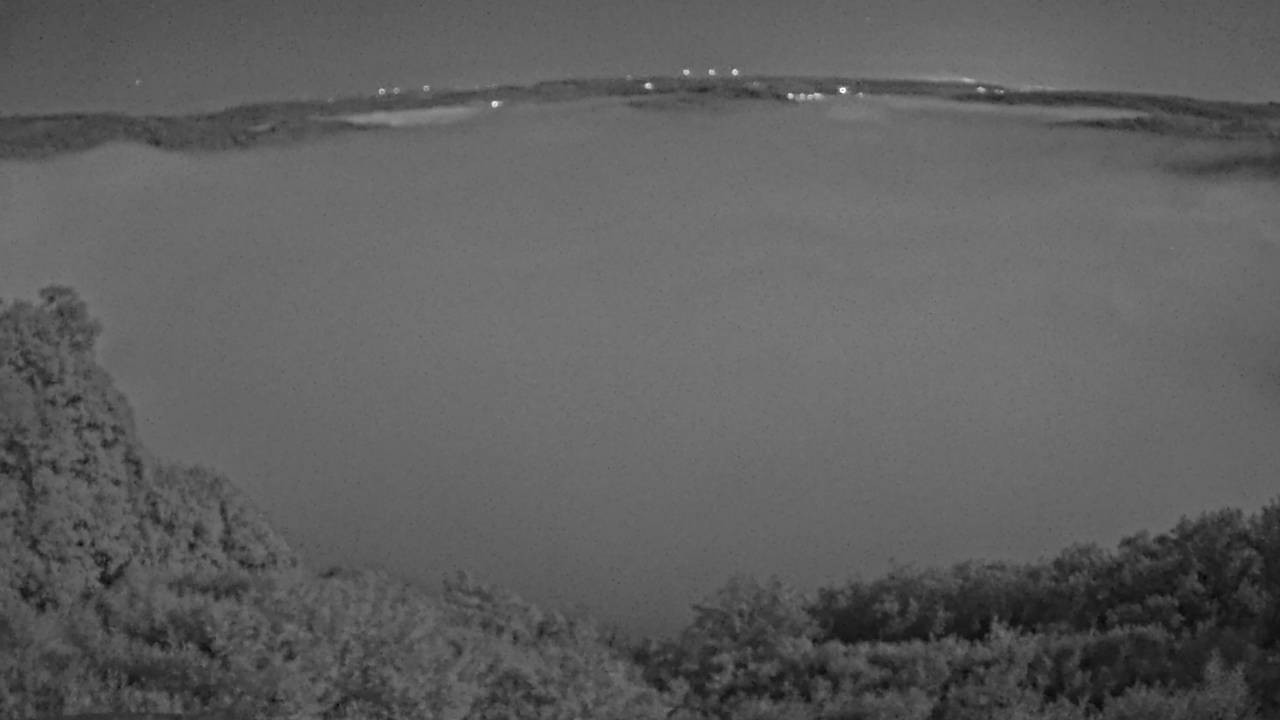 Archived image Webcam Canopy Pathway Saar Loop