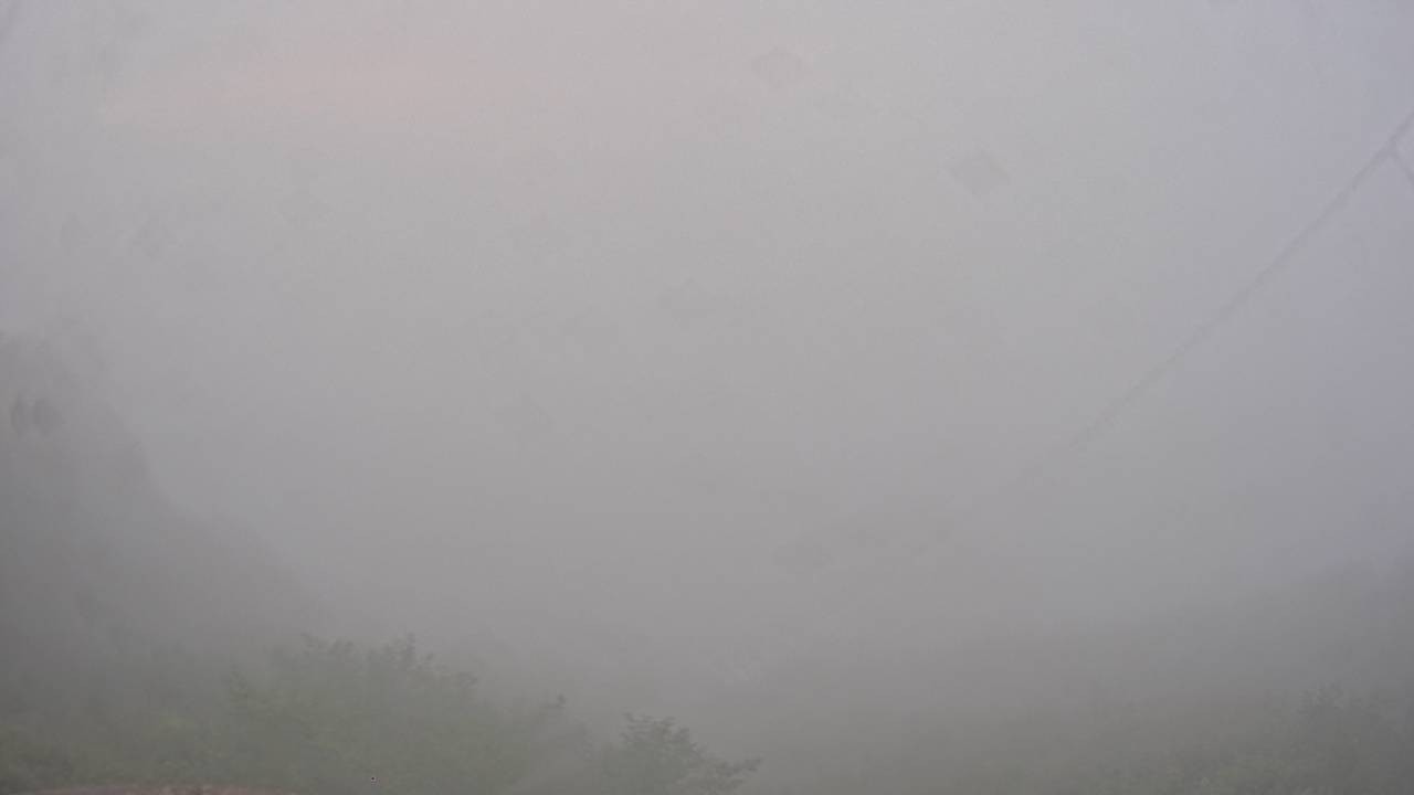 Archived image Webcam Canopy Pathway Saar Loop