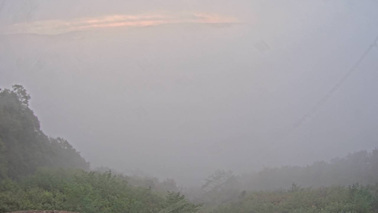 Archived image Webcam Canopy Pathway Saar Loop
