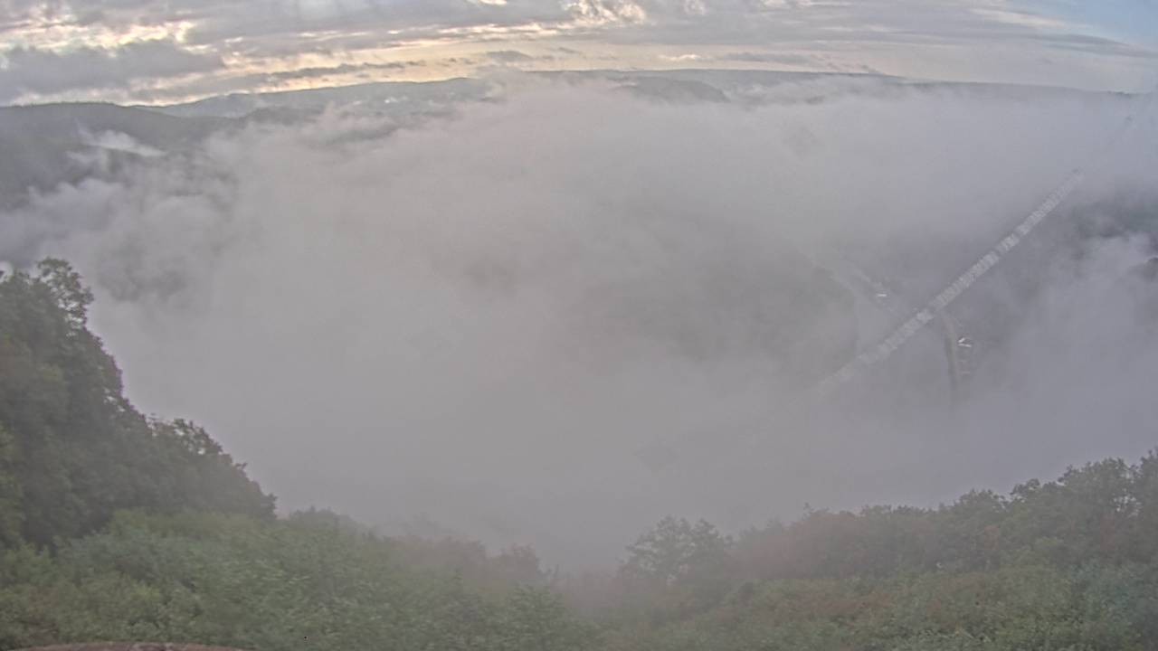 Archived image Webcam Canopy Pathway Saar Loop