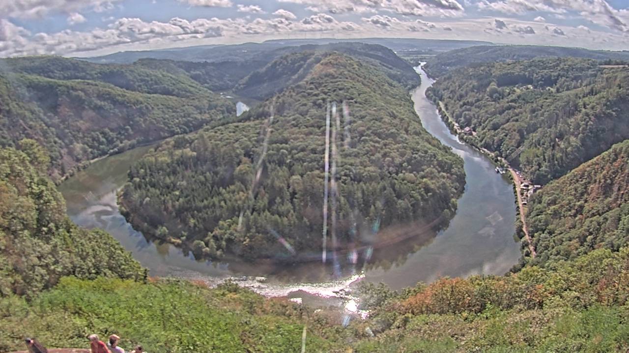 Archived image Webcam Canopy Pathway Saar Loop