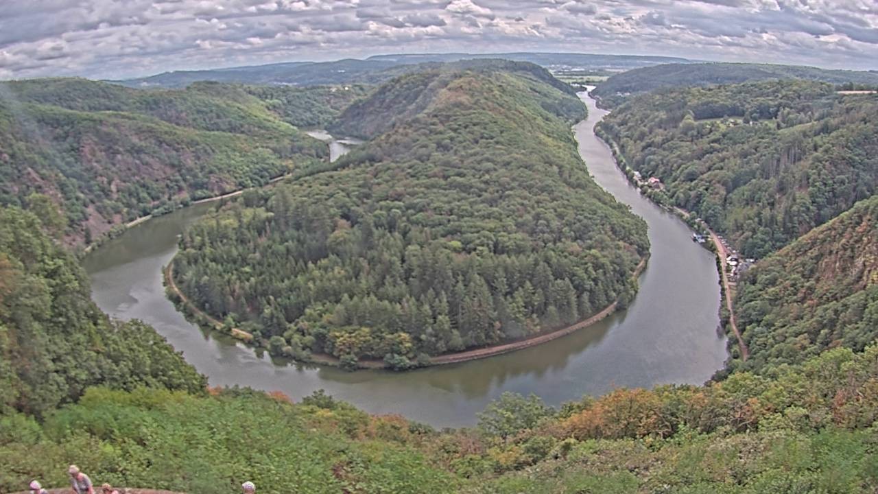 Archived image Webcam Canopy Pathway Saar Loop