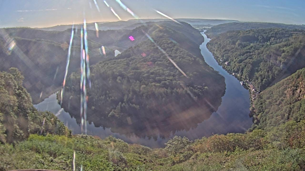 Archived image Webcam Canopy Pathway Saar Loop