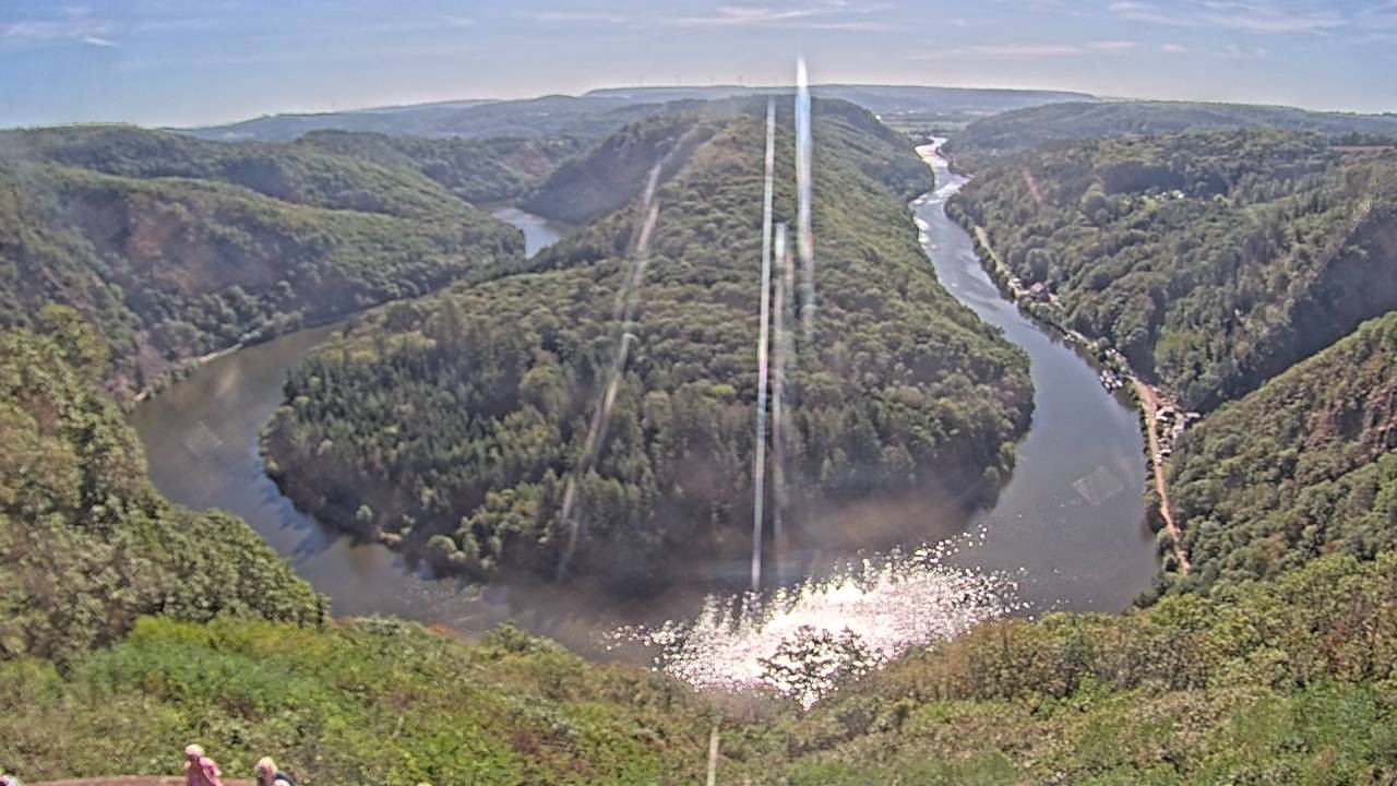 Archived image Webcam Canopy Pathway Saar Loop