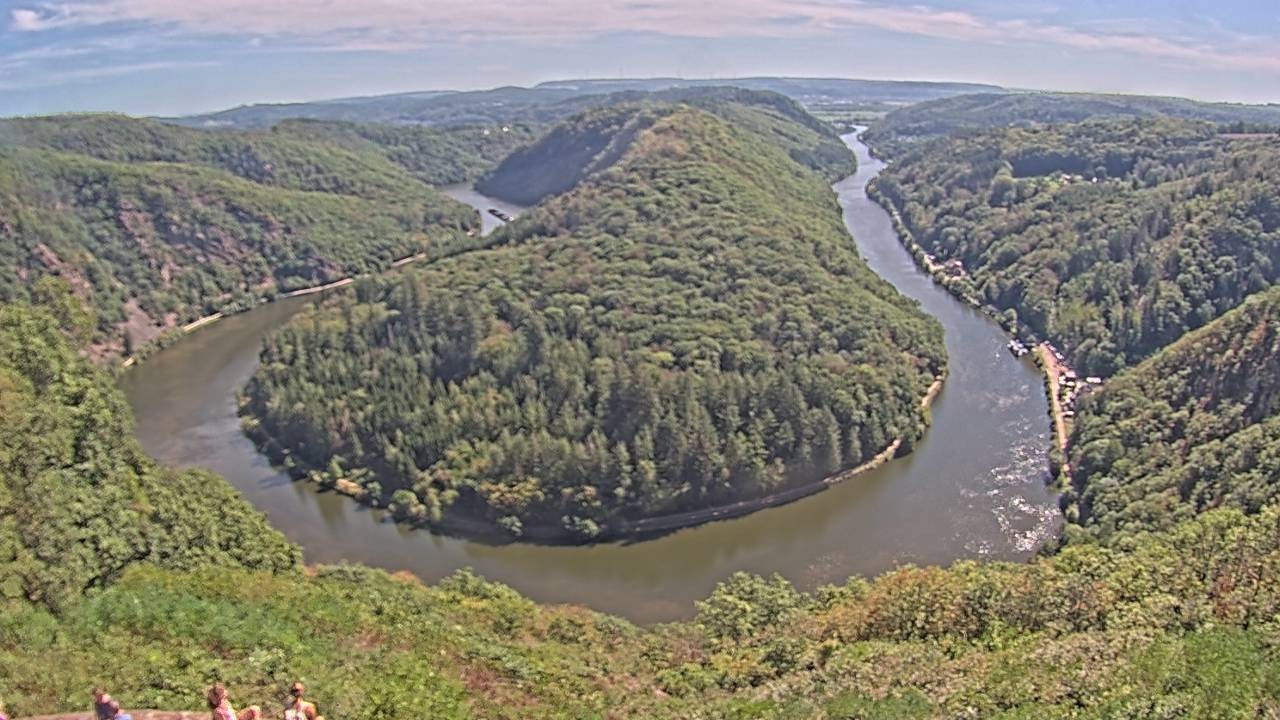 Archived image Webcam Canopy Pathway Saar Loop