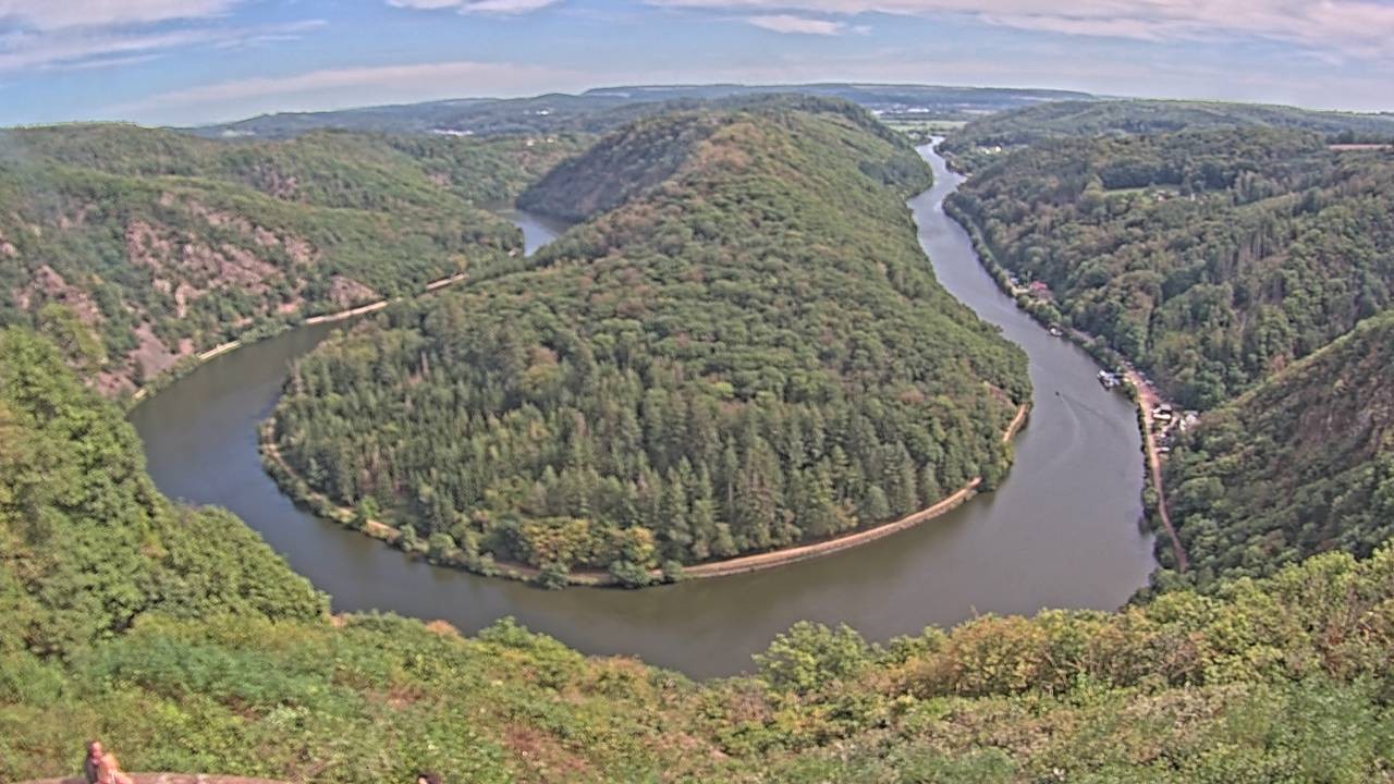 Archived image Webcam Canopy Pathway Saar Loop