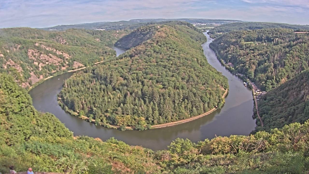 Archived image Webcam Canopy Pathway Saar Loop