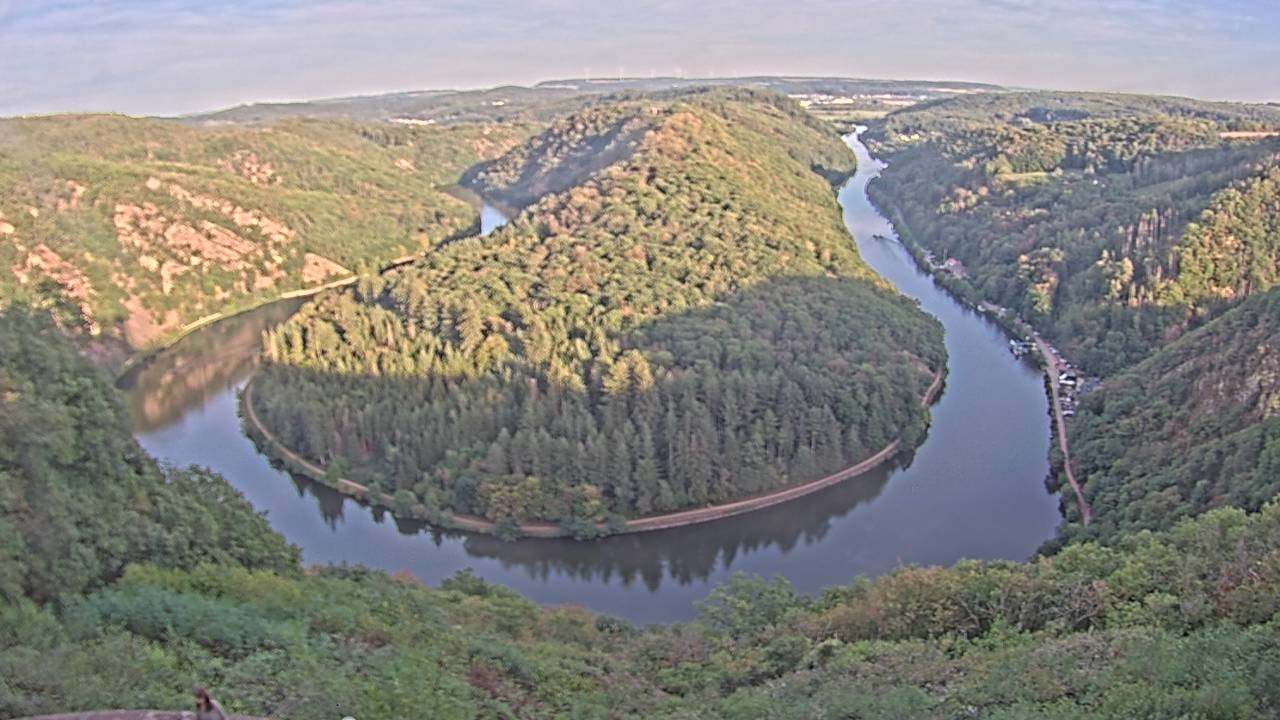 Archived image Webcam Canopy Pathway Saar Loop
