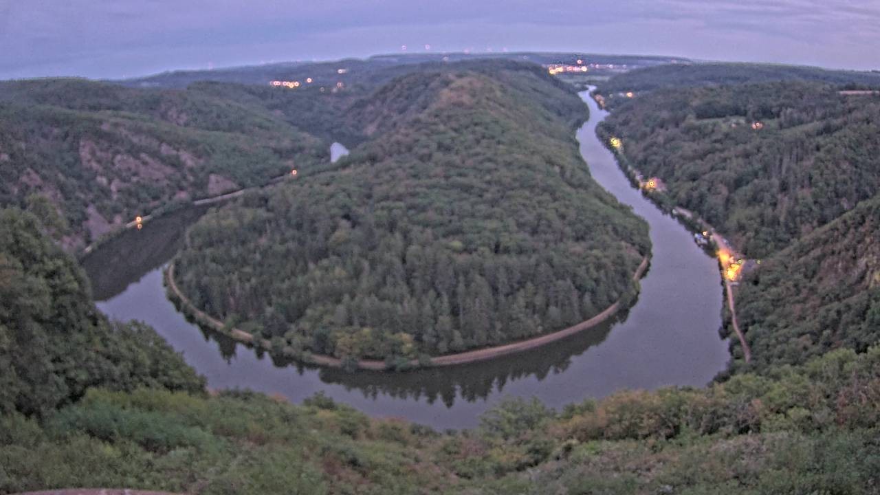 Archived image Webcam Canopy Pathway Saar Loop