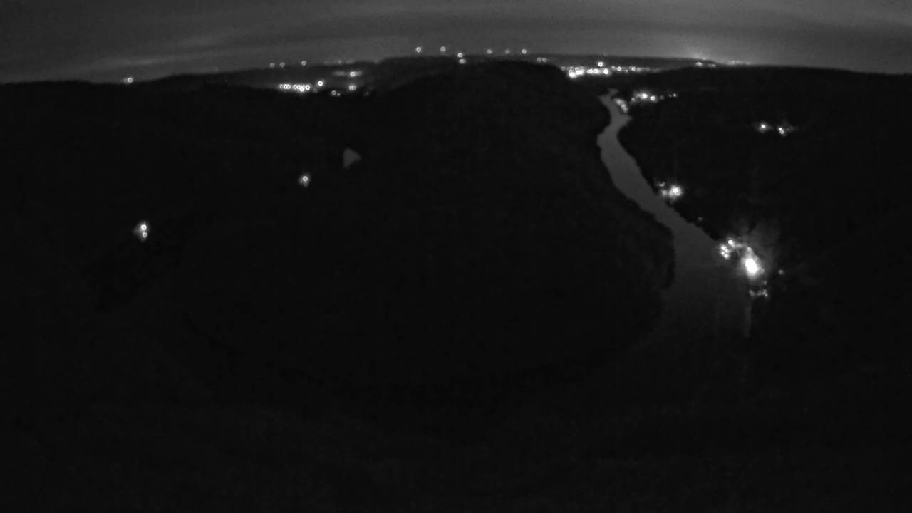 Archived image Webcam Canopy Pathway Saar Loop