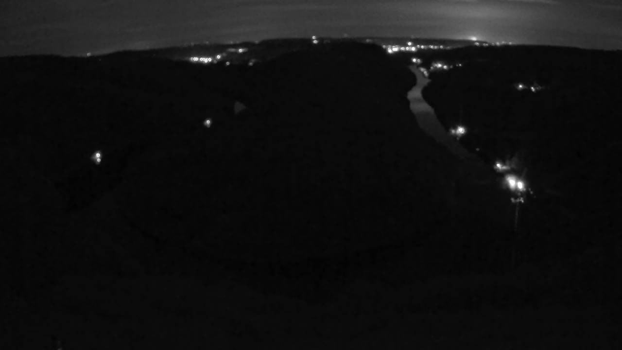 Archived image Webcam Canopy Pathway Saar Loop