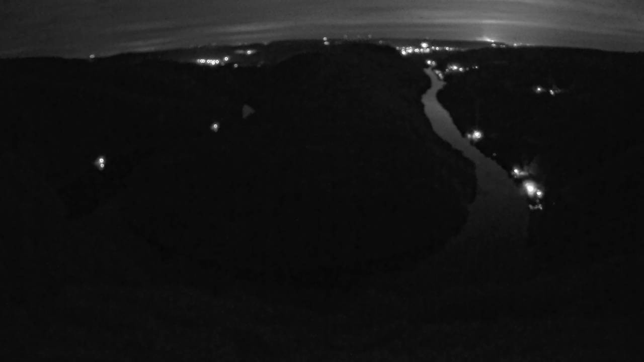Archived image Webcam Canopy Pathway Saar Loop