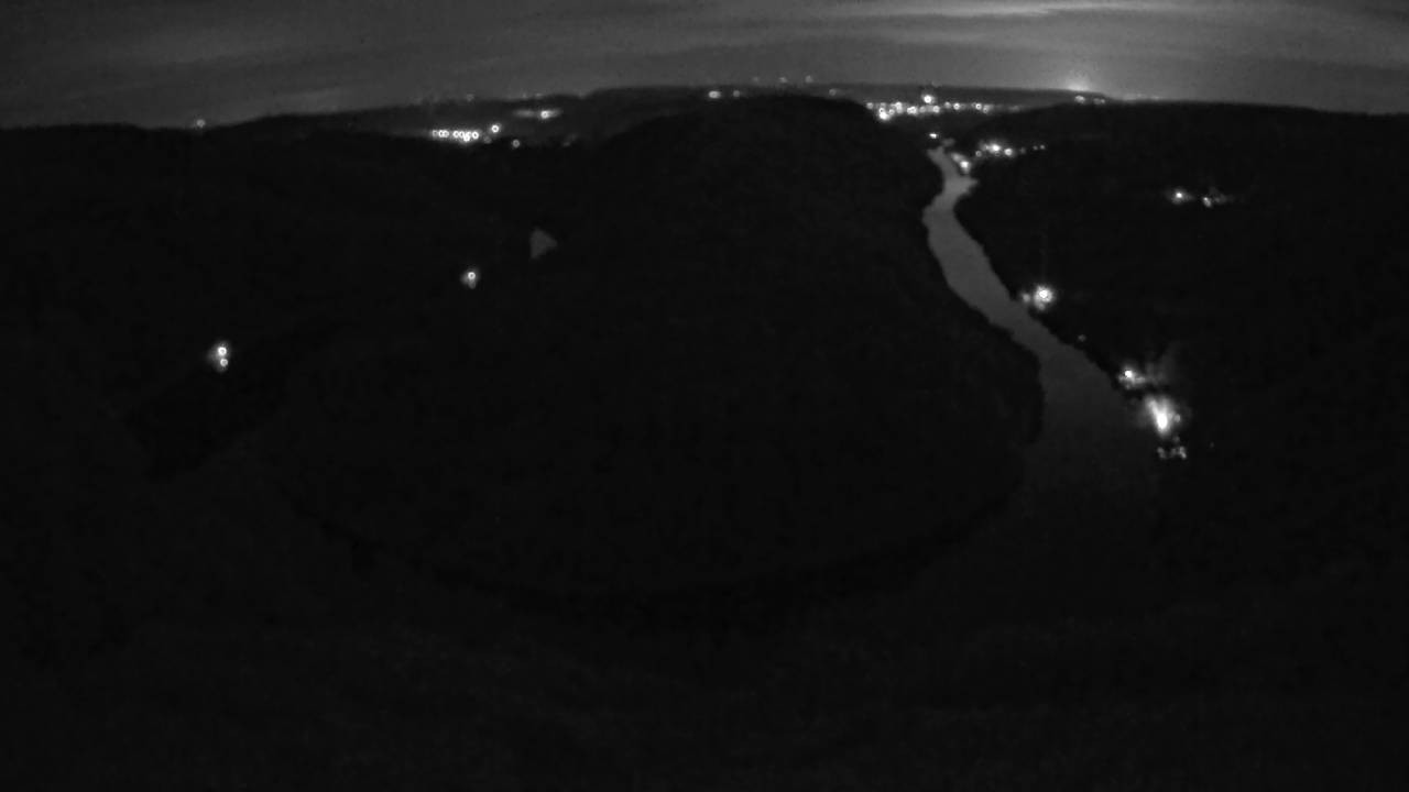 Archived image Webcam Canopy Pathway Saar Loop