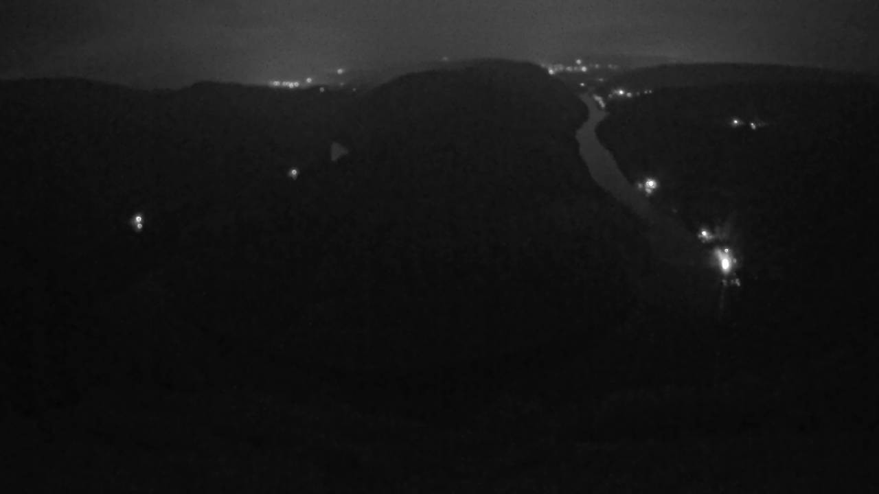 Archived image Webcam Canopy Pathway Saar Loop