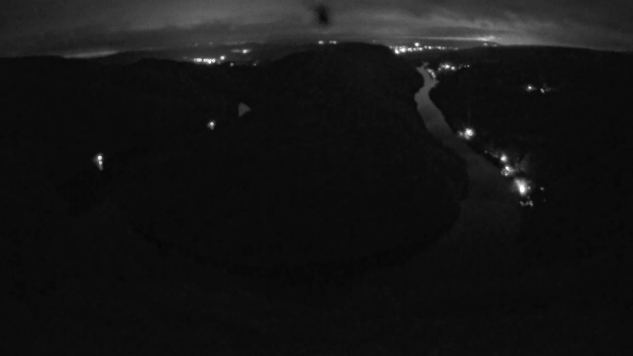 Archived image Webcam Canopy Pathway Saar Loop