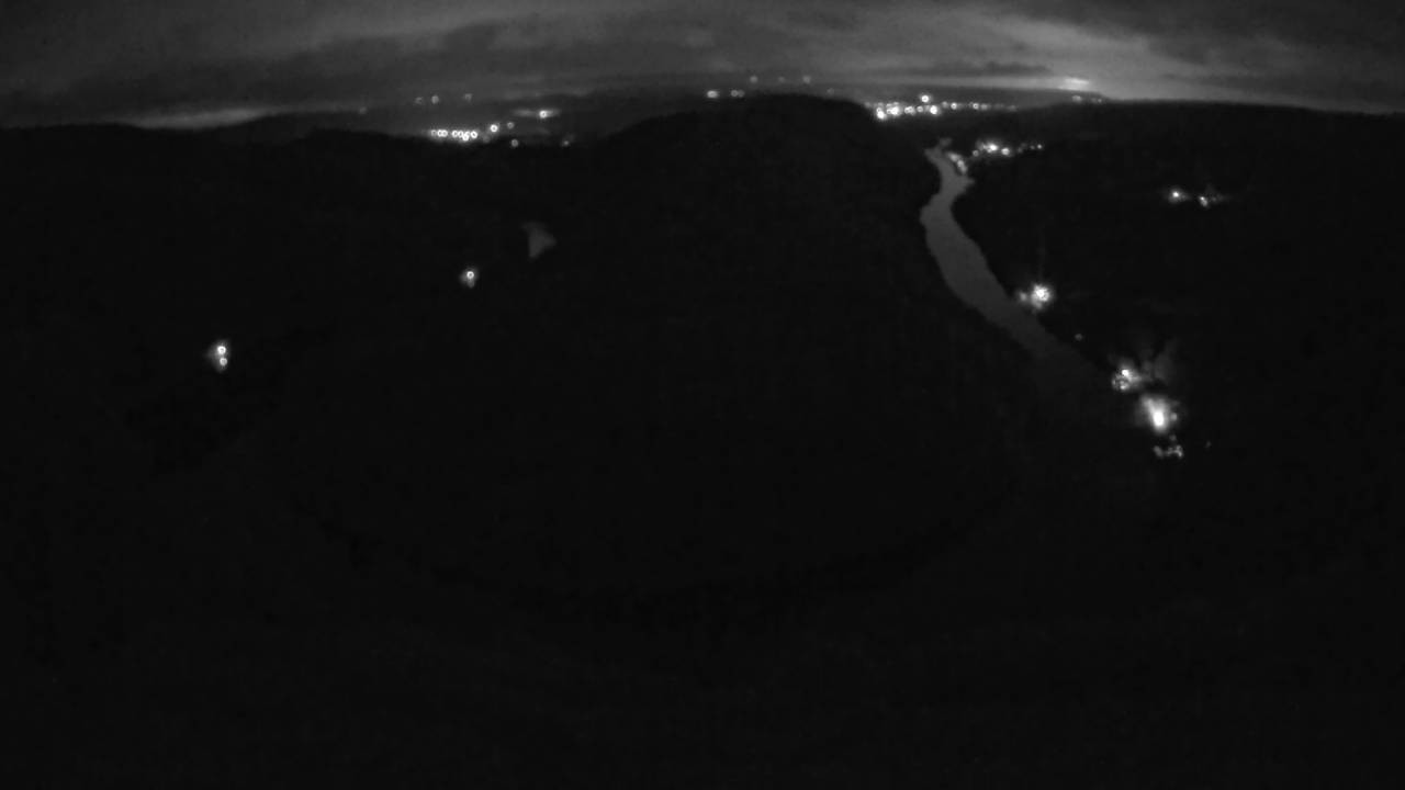Archived image Webcam Canopy Pathway Saar Loop
