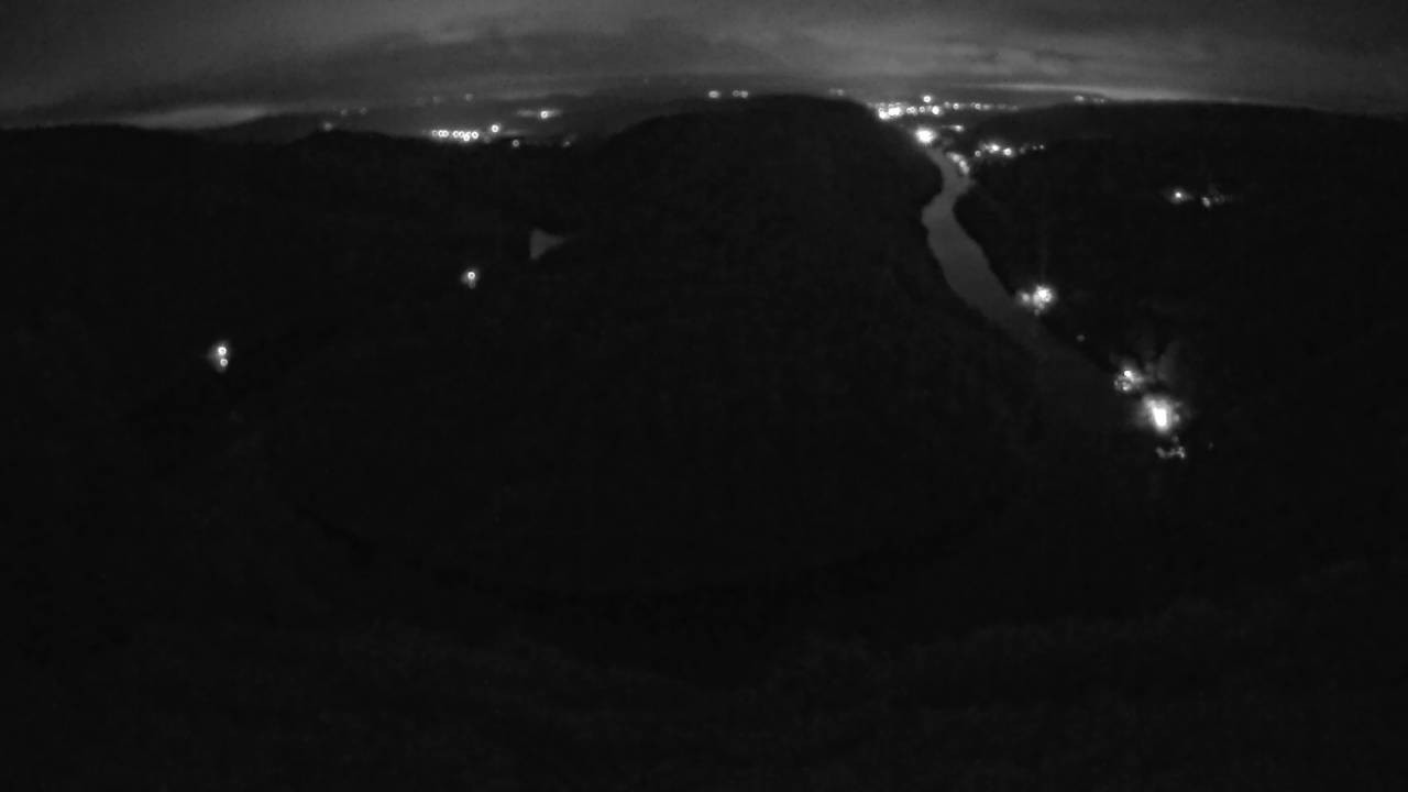 Archived image Webcam Canopy Pathway Saar Loop