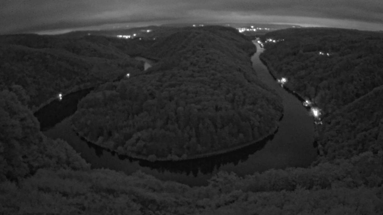 Archived image Webcam Canopy Pathway Saar Loop