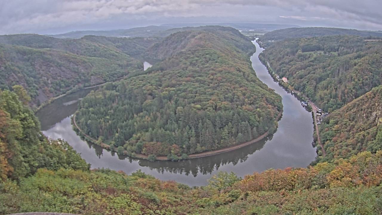 Archived image Webcam Canopy Pathway Saar Loop