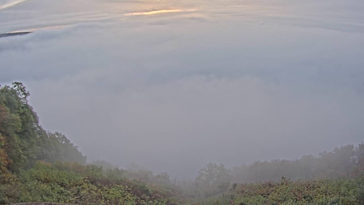 Archiv Foto Webcam Saarschleife