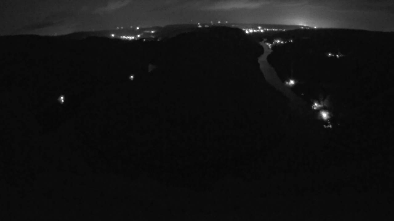 Archived image Webcam Canopy Pathway Saar Loop