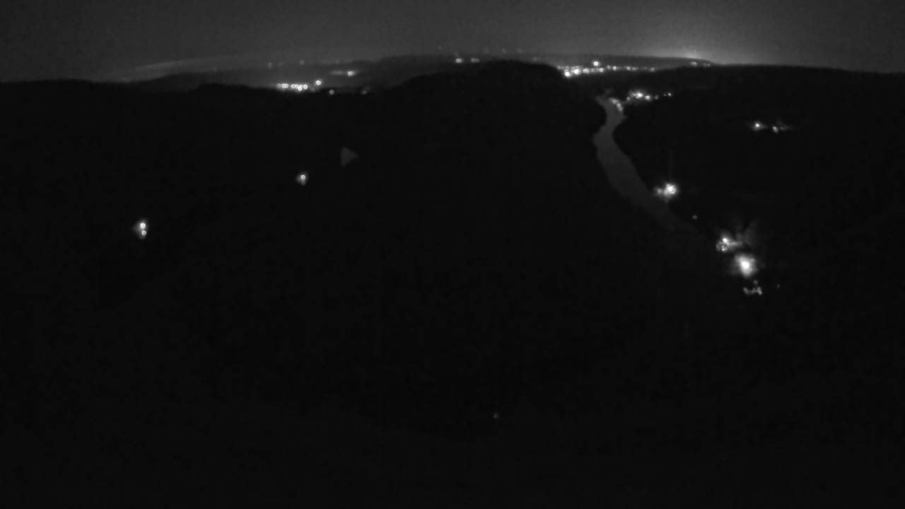 Archived image Webcam Canopy Pathway Saar Loop