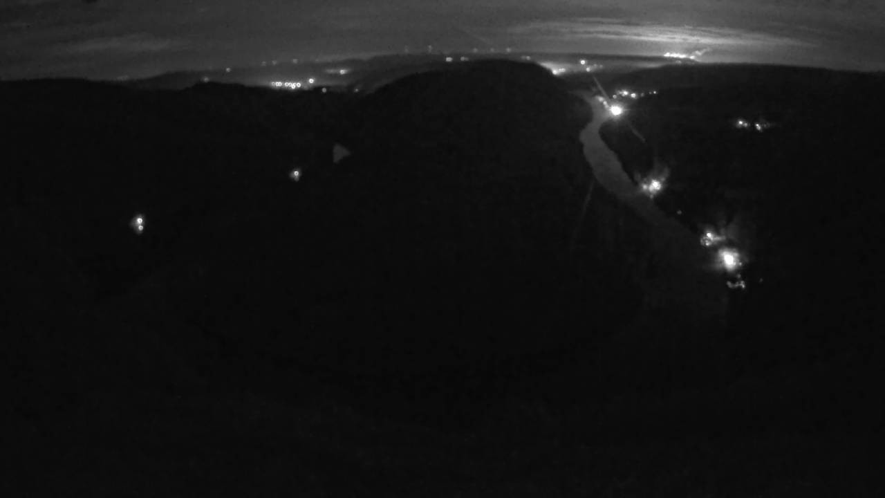 Archived image Webcam Canopy Pathway Saar Loop