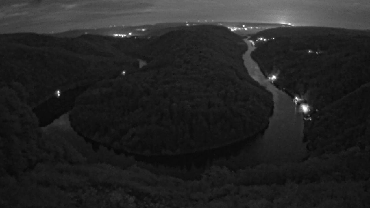Archived image Webcam Canopy Pathway Saar Loop