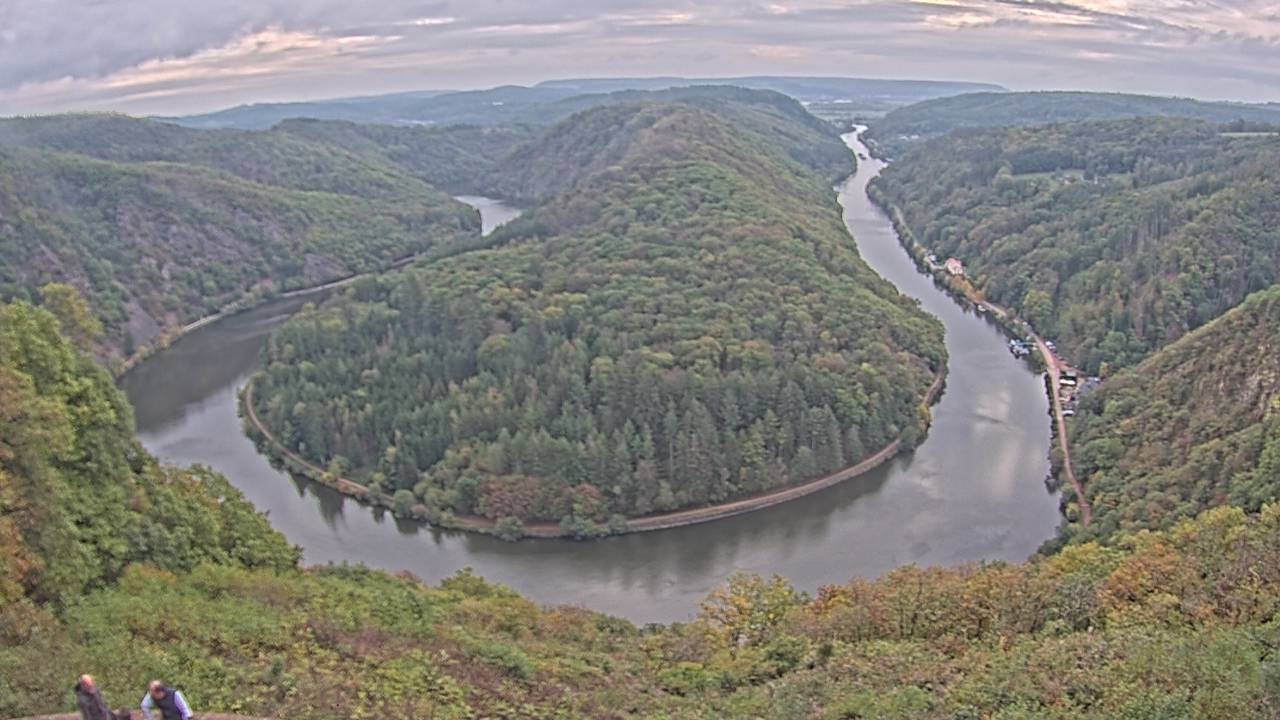 Archived image Webcam Canopy Pathway Saar Loop