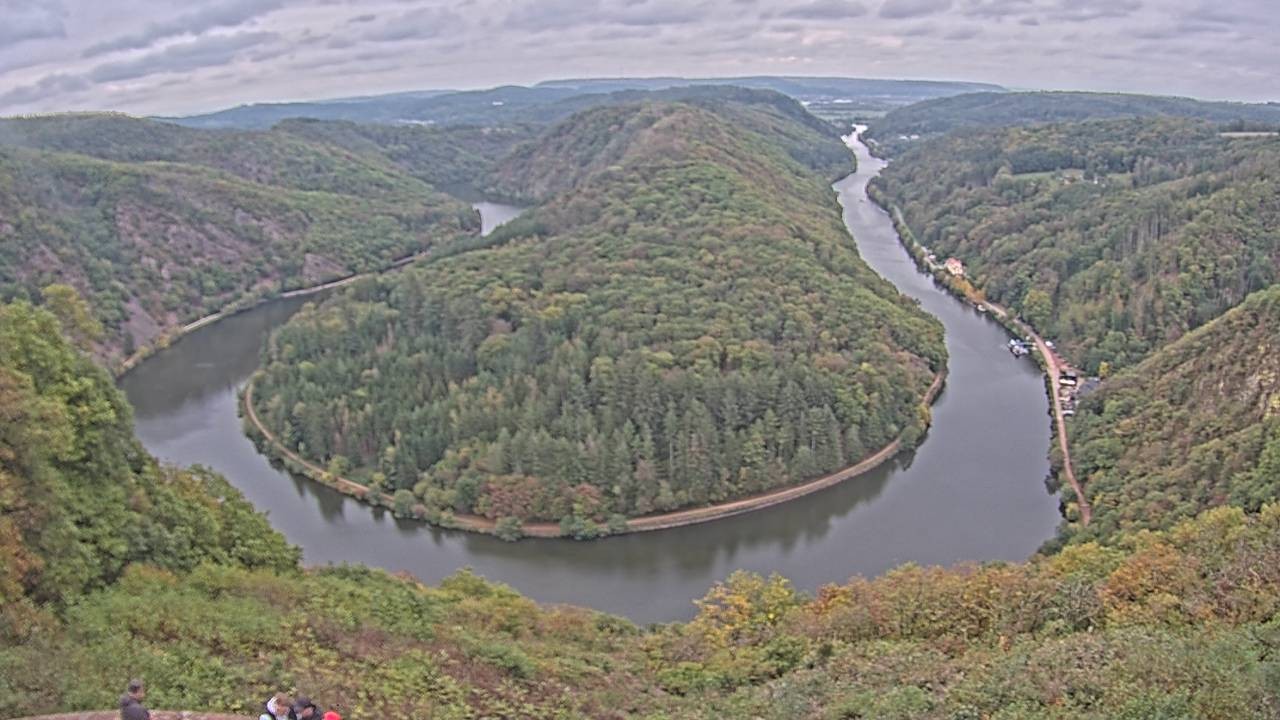 Archived image Webcam Canopy Pathway Saar Loop