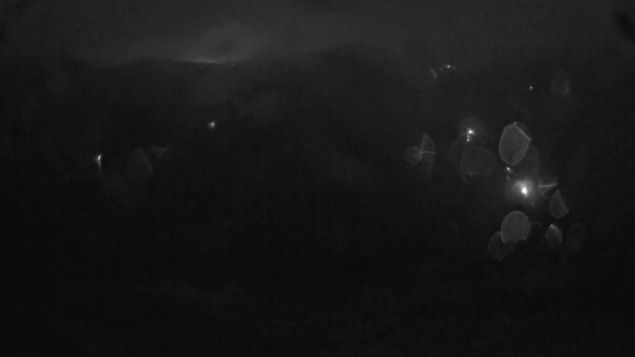 Archived image Webcam Canopy Pathway Saar Loop