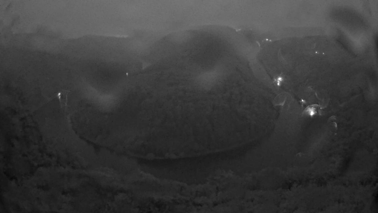 Archived image Webcam Canopy Pathway Saar Loop