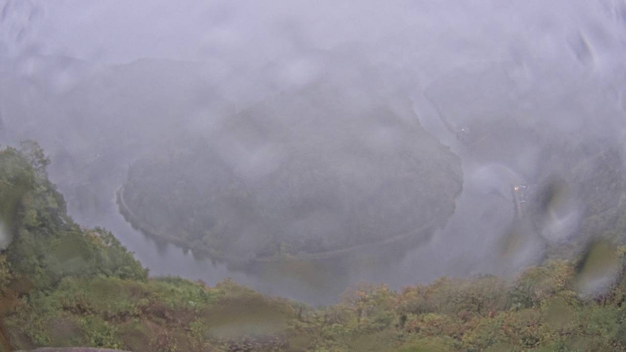 Archived image Webcam Canopy Pathway Saar Loop