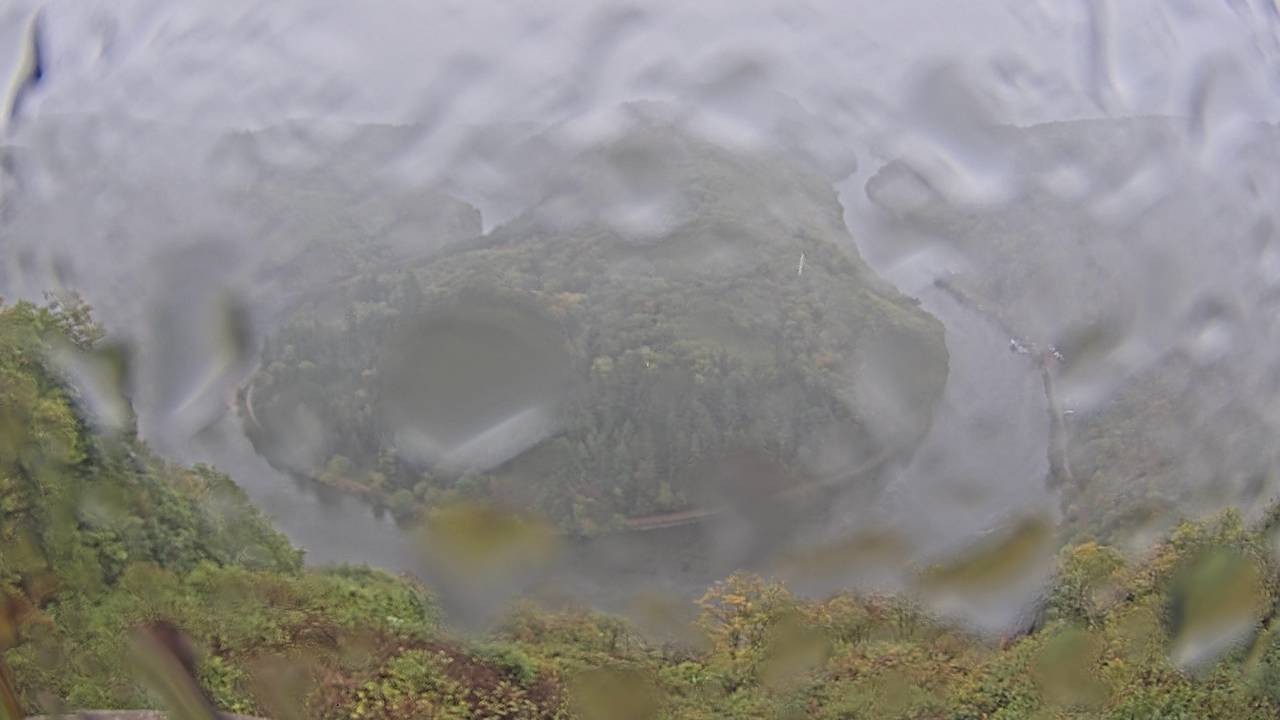 Archived image Webcam Canopy Pathway Saar Loop