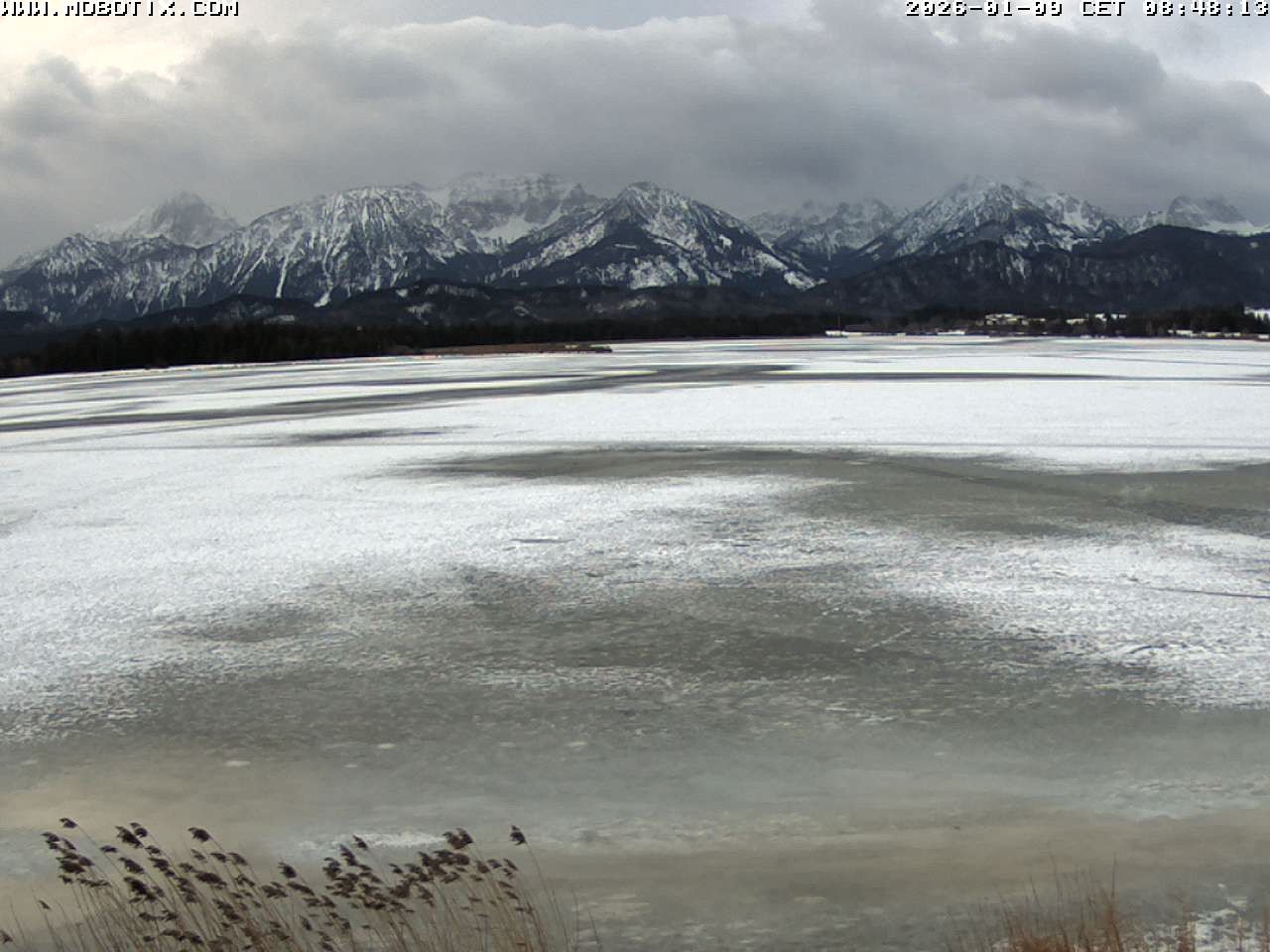 Archiv Foto Webcam Restaurant Fischerhütte am Hopfensee