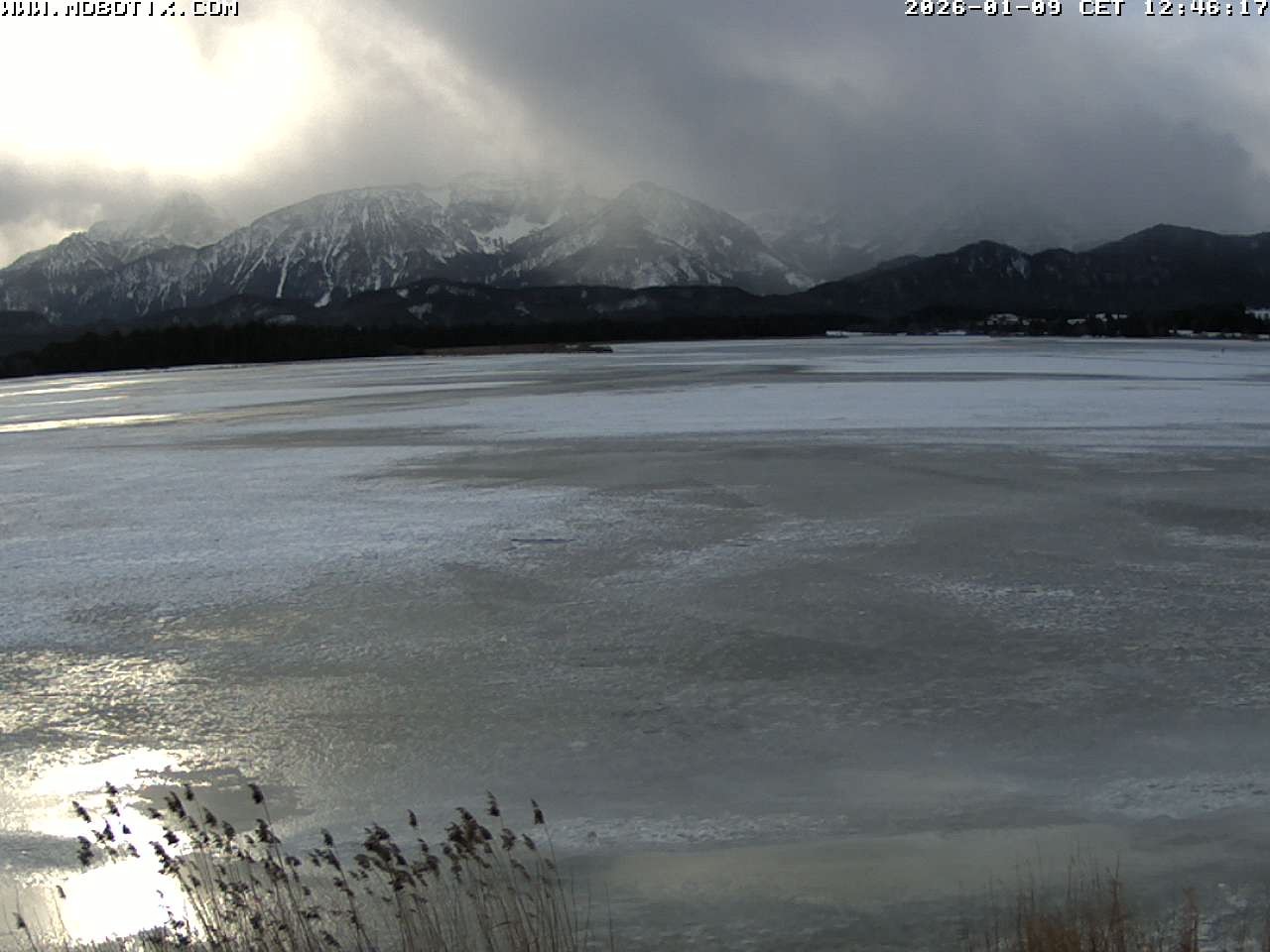 Archiv Foto Webcam Restaurant Fischerhütte am Hopfensee