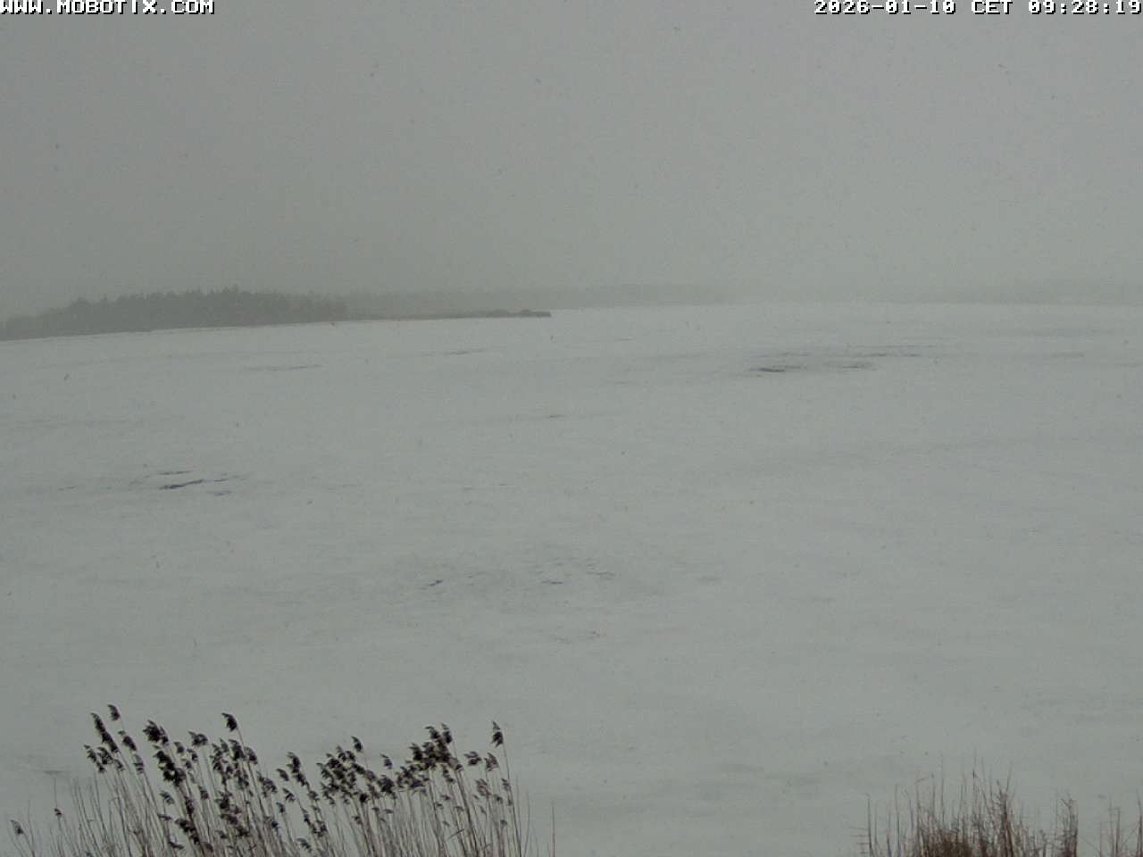 Archiv Foto Webcam Restaurant Fischerhütte am Hopfensee