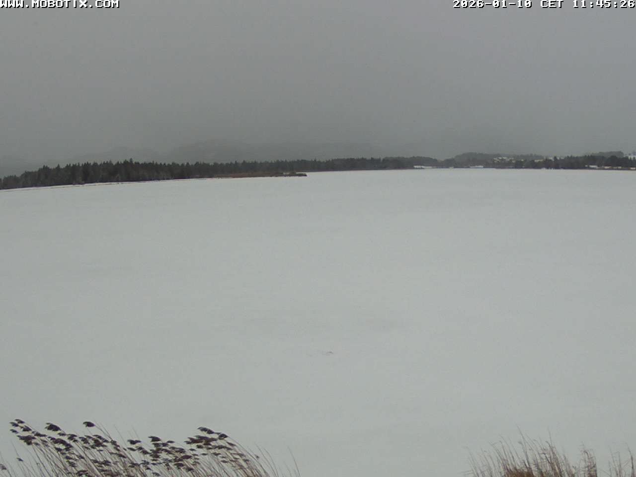 Archiv Foto Webcam Restaurant Fischerhütte am Hopfensee