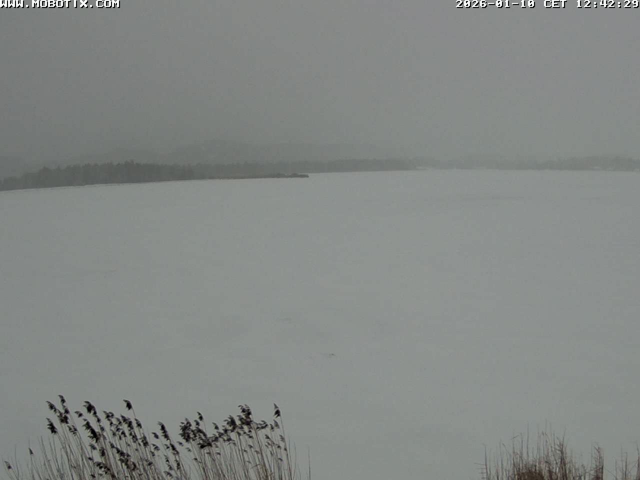 Archiv Foto Webcam Restaurant Fischerhütte am Hopfensee