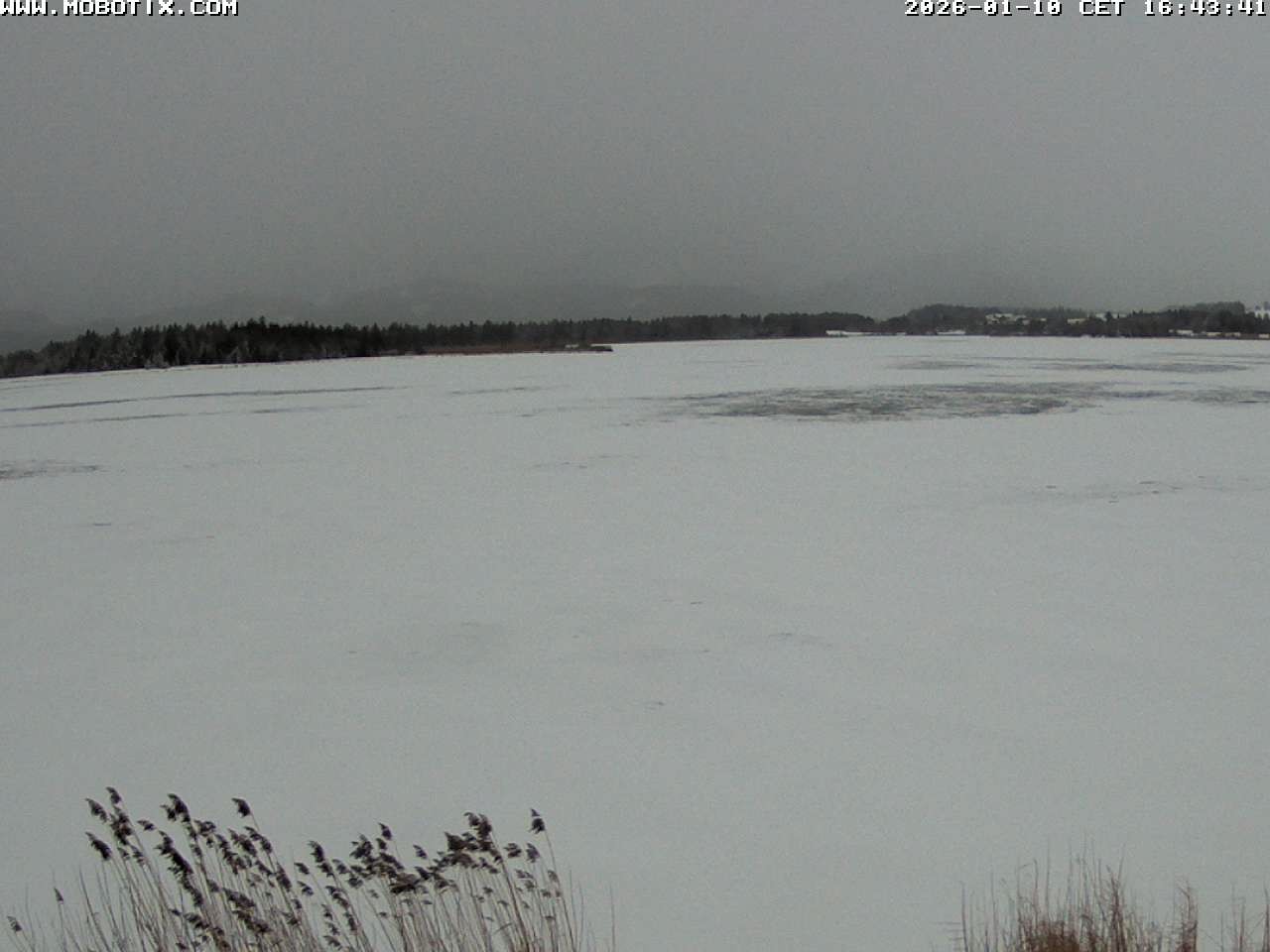Archiv Foto Webcam Restaurant Fischerhütte am Hopfensee