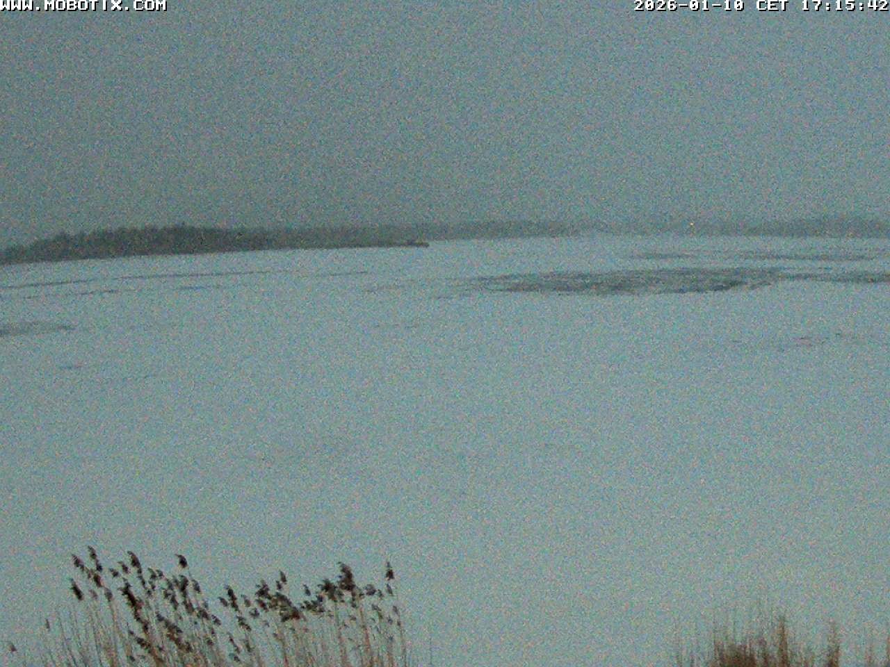 Archiv Foto Webcam Restaurant Fischerhütte am Hopfensee