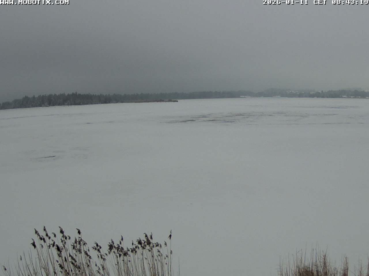 Archiv Foto Webcam Restaurant Fischerhütte am Hopfensee