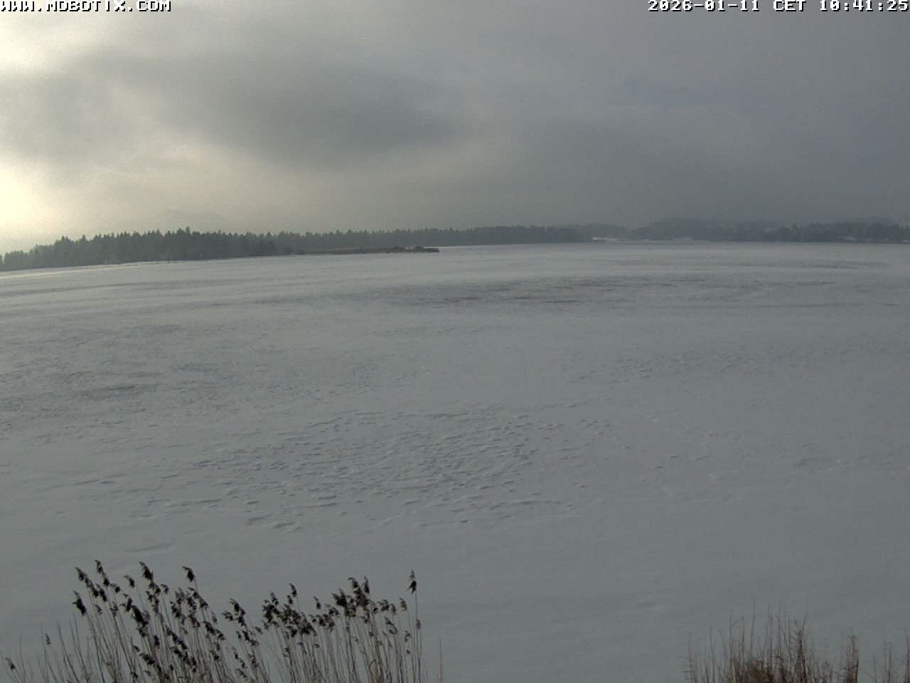 Archiv Foto Webcam Restaurant Fischerhütte am Hopfensee