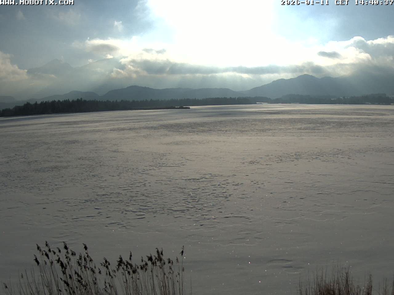Archiv Foto Webcam Restaurant Fischerhütte am Hopfensee